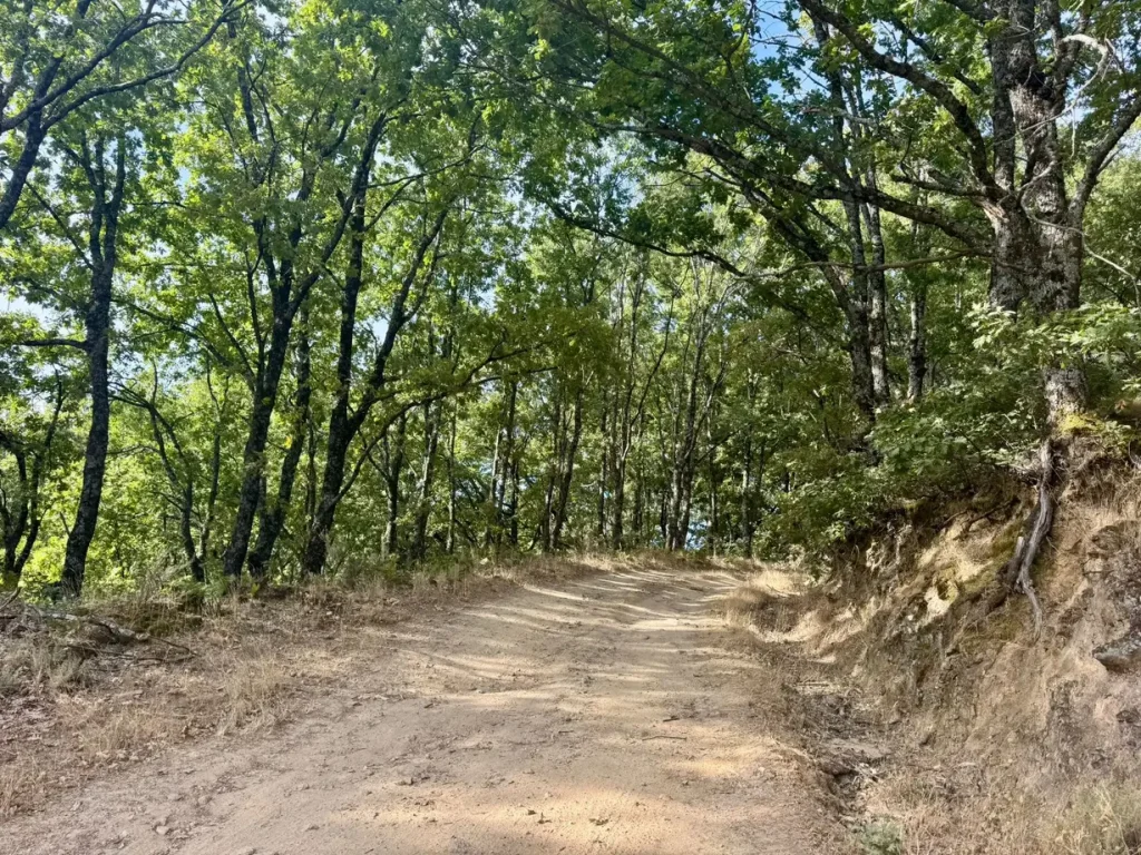 tramo de acceso al barranco de los papuos