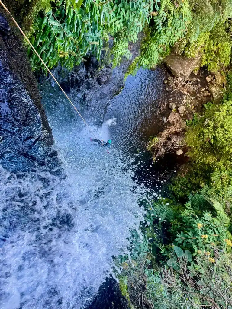 Rpaél en barranco de Esguilhao en Flores (Azores)